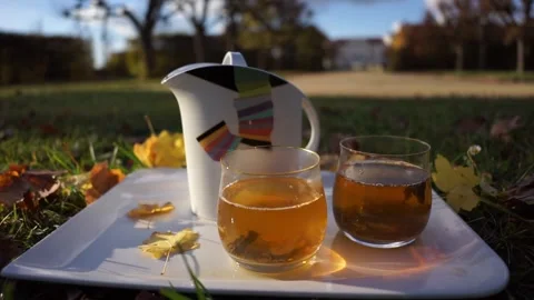 Tea in the sun in autumn Stock Footage 256623403