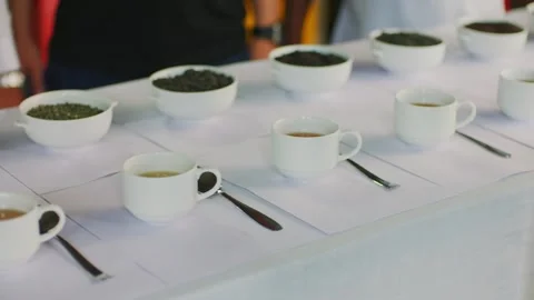 Tea tasting session with cups and loose leaf samples on table Stock Footage 327632525
