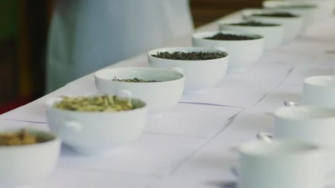 Tea tasting session with cups and loose leaf samples on table Stock Footage 335871533