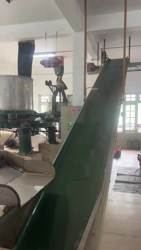 Tea in tea factory Stock Footage 313466877