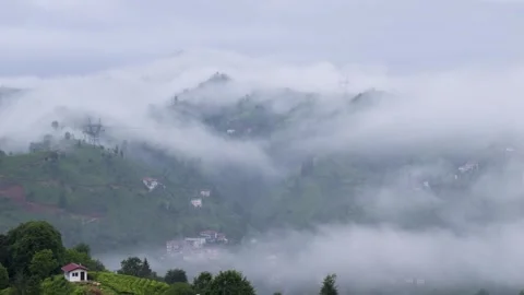 Tea Terraces And Cloud Movements Stock Footage 332566234