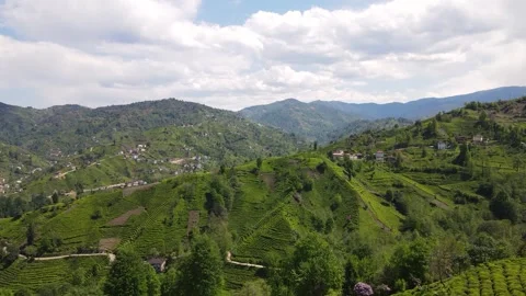 Tea Terraces And Cloudy Sky Stock-Footage 332400226