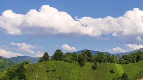Tea Terraces And Cumulus Clouds Vídeo Stock 334672910