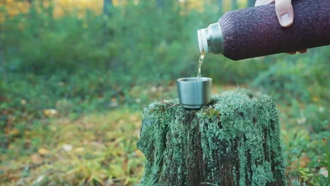Tea from a thermos in the forest Video stock 219680121