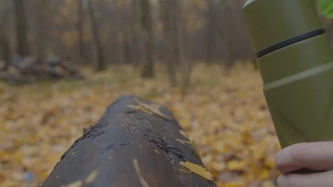 Tea in a thermos in the woods Stock Footage 118021234