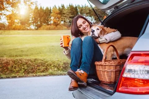 Tea time in car Stock Photos