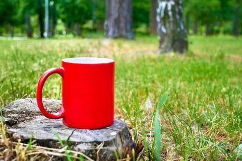 Tea time. Coffee break. Red cup mug on stump forest wild meadow Stock Photos