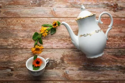 Tea time concept. Stock Photos