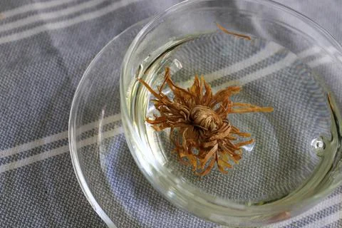 Tea Time in the Kitchen Stock Photos