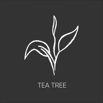 Tea tree chalk white icon on black background. Skincare product component Stock Illustration