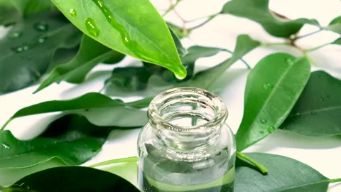 Tea tree essential oil in small bottles. selective focus. Stock Footage 148320429