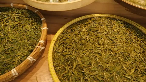 Tea tree tea planting Stock Footage 313905870