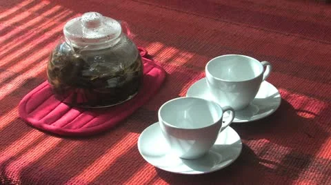 Tea for Two Stock-Footage 11519080