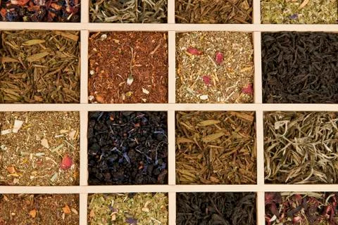 Tea variation. Stock Photos