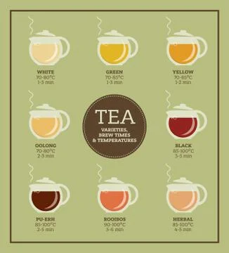 Tea varieties. Brewing time and temperature Stock-Illustration