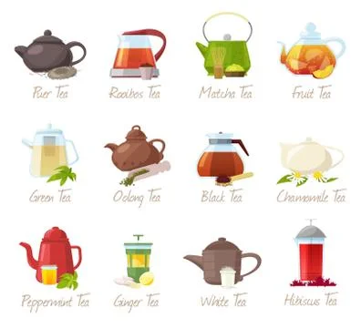 Tea vector puer-tea and rooibos or matcha fruity drinks in teapot illustration Stock Illustration