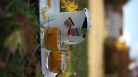 Tea vertical video tea ceremony Stock Footage 256546499