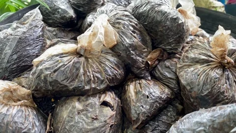 Tea Waste Pulp in Plastic Bags for Organic Recycling Stock Footage 326641352
