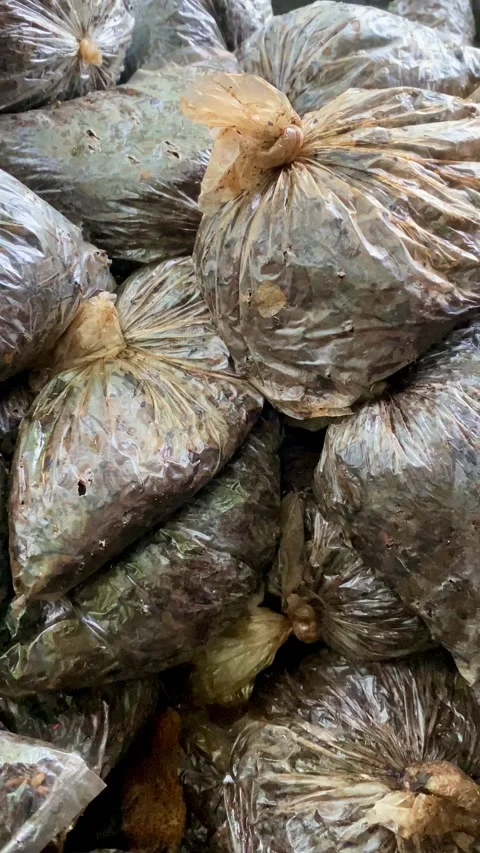 Tea Waste Wrapped in Plastic Packaging Stock Footage 325031256