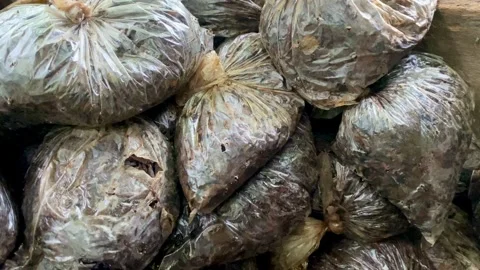 Tea Waste Wrapped in Plastic Packaging Stock Footage 325031269