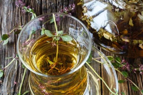 Tea with wild thyme Stock Photos