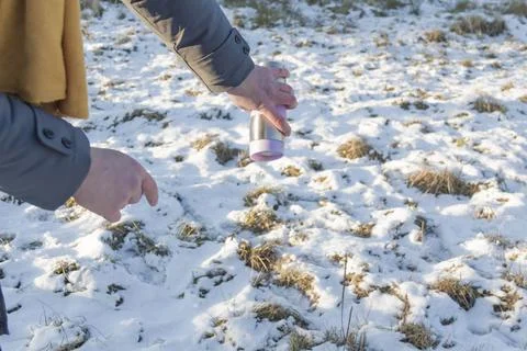 Tea in winter. Stock Photos