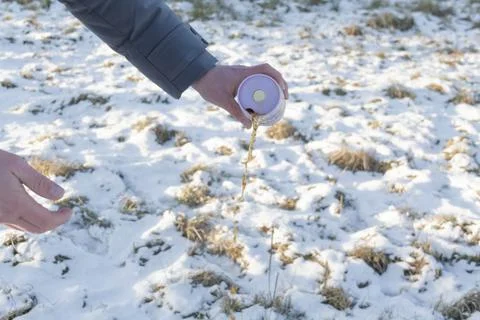 Tea in winter. Stock Photos