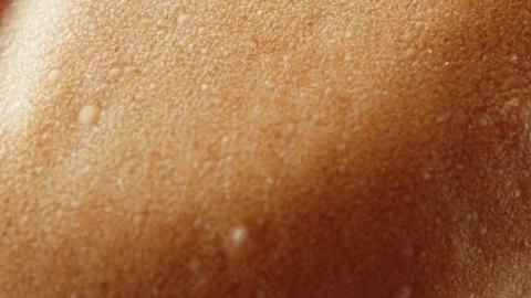 Teacake bread bun roll extreme macro close up with a rotating camera motion.. Vídeo Stock 328701362