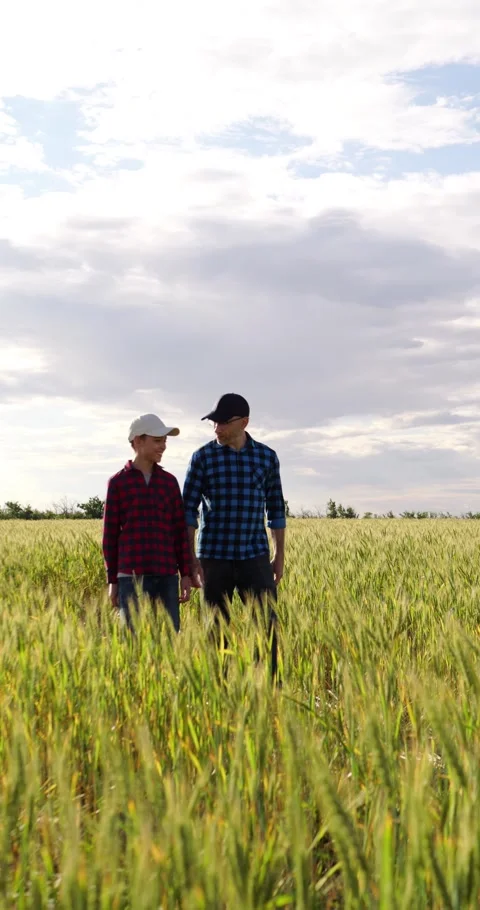 Teacher and student walking through green field while talking together. Warm Stock Footage 346753670