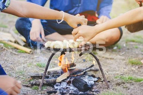 Teacher and students camping outdoor, outdoor activity, learning natural, cam Stock Photos