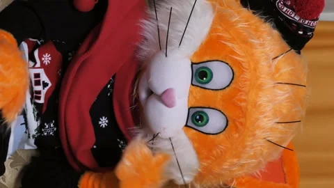 A teacher in a cat mask poses for the camera. online classes for children Stock Footage 234297213