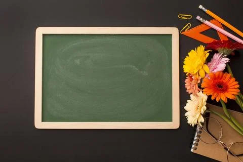 The teacher day elements assortment Stock Photos