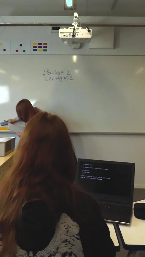 Teacher erasing math equations on a classroom whiteboard Stock Footage 346597988