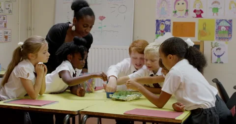 Teacher interacting with children while working on a science project Stock Footage 58574535