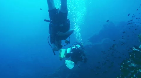 Teacher with student on first lesson of diving. Stock Footage 53521386