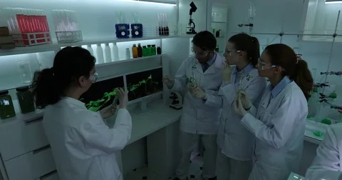 Teacher Talking Young Students How Plants Growing Lesson University Laboratory Video stock 81457439