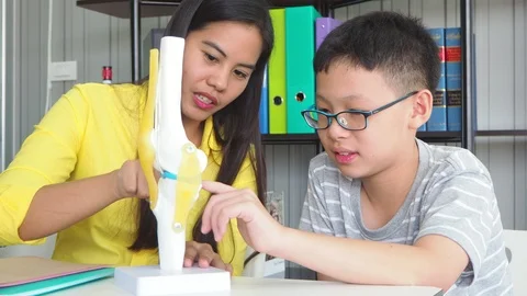 Teacher teach student about bone and joint Stock Footage 97914330