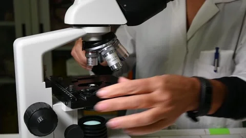 Teacher is using an optical microscope. Stock Footage 146208348