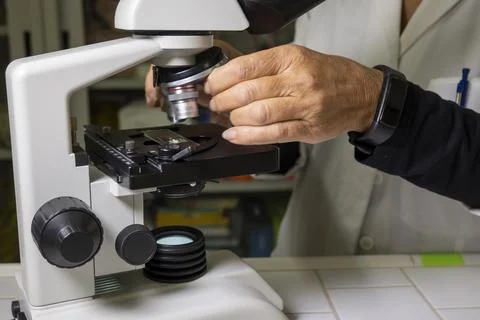Teacher is using an optical microscope. Stock Photos