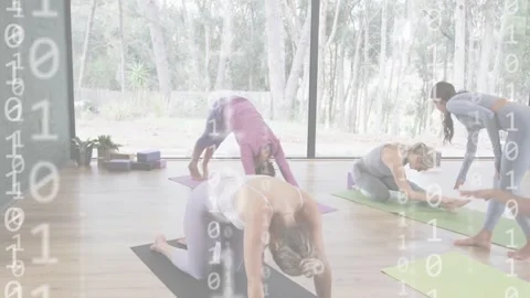 As teacher walking and guiding alignment, yoga class shifting in room, binary Stock Footage 332902017