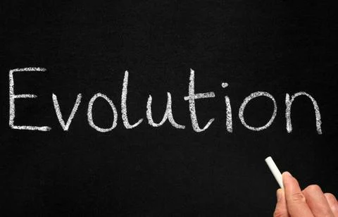 A teacher writing evolution on a blackboard. Stock Photos