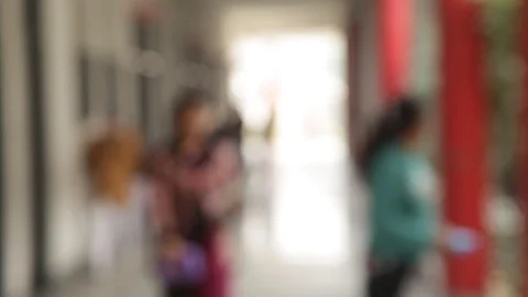 Teachers and students are going to their classes. Stock-Footage 114479741