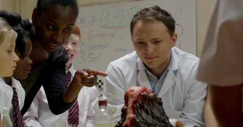 Teachers interacting with children while working on a science project Stock Footage 58574581