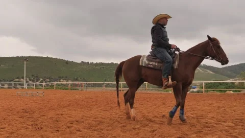 Teaching Horse to Step Backwards Stock Footage 103452273