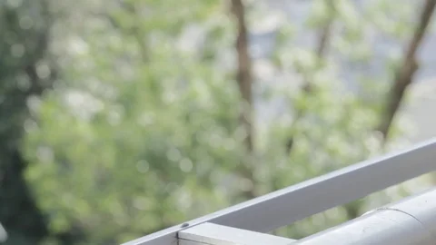 Teacup on balcony Stock Footage 82184022