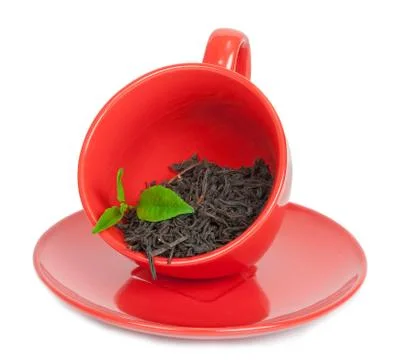 Teacup with black tea Stock Photos