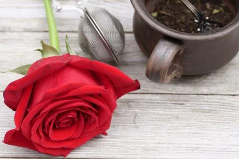 A teacup with a Rose. Stock Photos