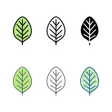 Teak edition leaf color icon vector Stock Illustration