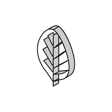 Teak leaf isometric icon vector illustration Stock Illustration