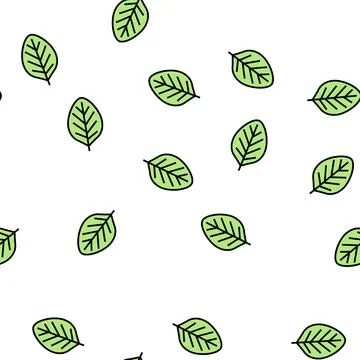 Teak leaf vector seamless pattern 스톡 일러스트